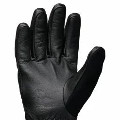 Black Diamond Tour Glove