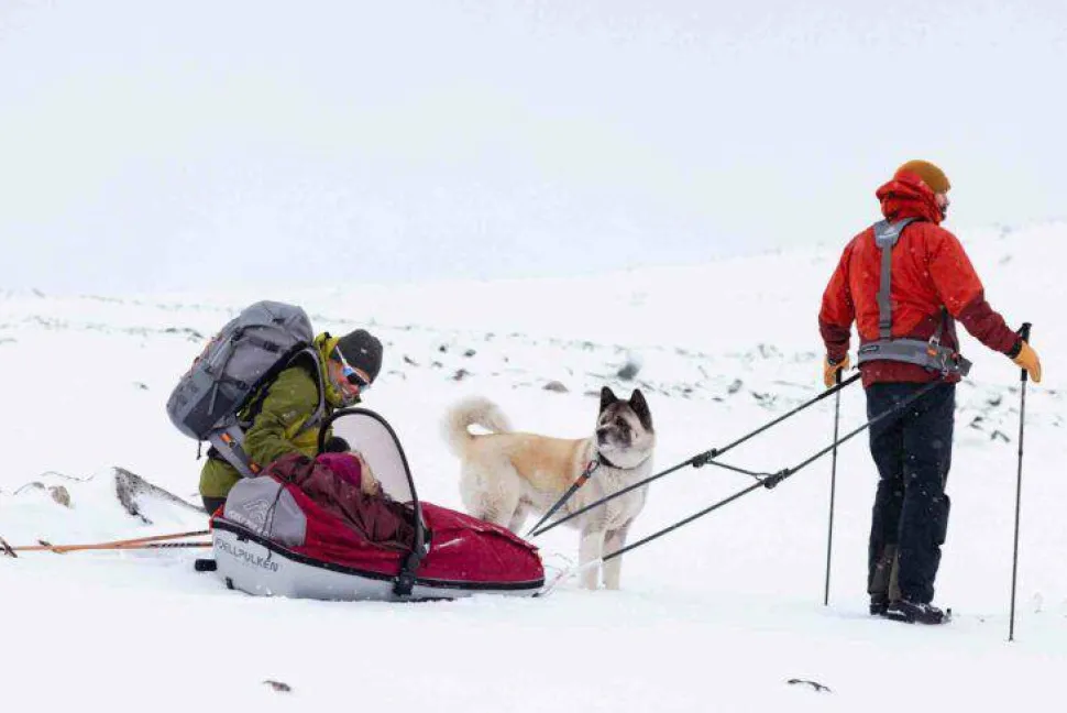 Fjellpulken Lastenvetoahkio Complete