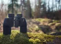 Focus Scenery 8x40