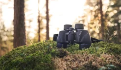 Focus Scenery 8x40