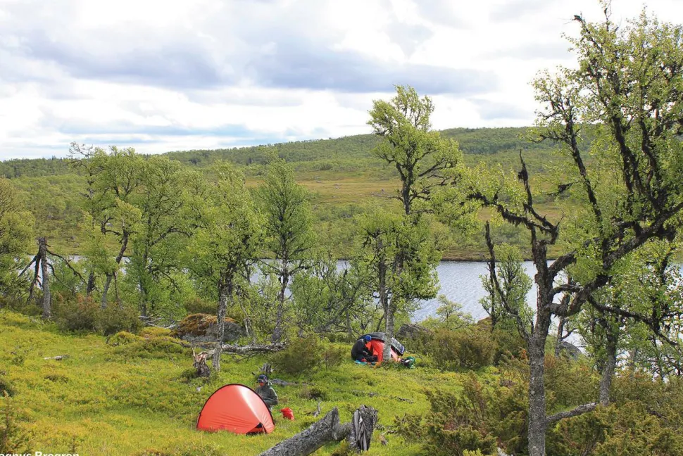 Hilleberg Enan