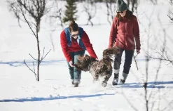 Icebug Adak Rewool Bugrip - Miesten ja naisten nastakengät