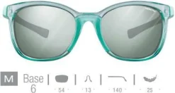 Julbo Spark Dark Grey / Purple