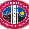 Kansallispuisto Koli Kangasmerkki