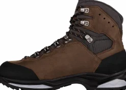 Lowa Men's Camino Evo GTX
