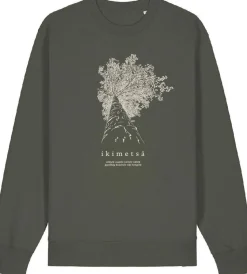 Metsä/Skogen Ikimetsä College Haapa