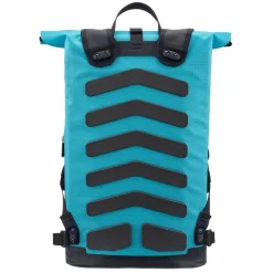 Ortlieb Commuter-Daypack Cyber