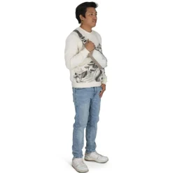Osprey Daylite Waist