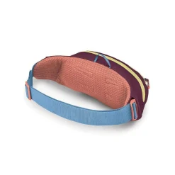 Osprey Daylite Waist