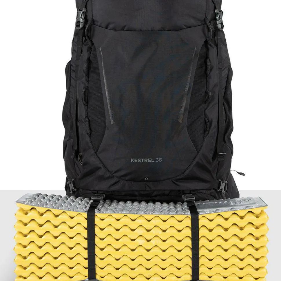 Osprey Kestrel 68