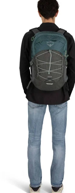 Osprey Quasar