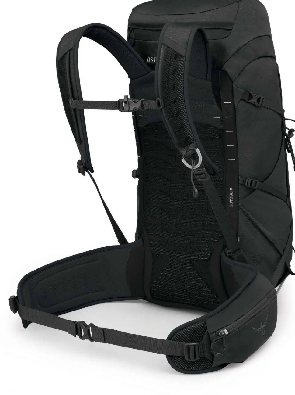 Osprey Talon 33 EF