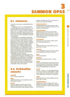 Partiotuote Johtajakansion seikkailijaosuus päivitetty