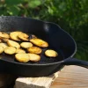 Petromax Fire Skillet FP25 One Handle