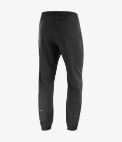 Salomon Men's Shakeout Core pants
