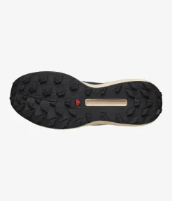 Salomon S/Lab Genesis
