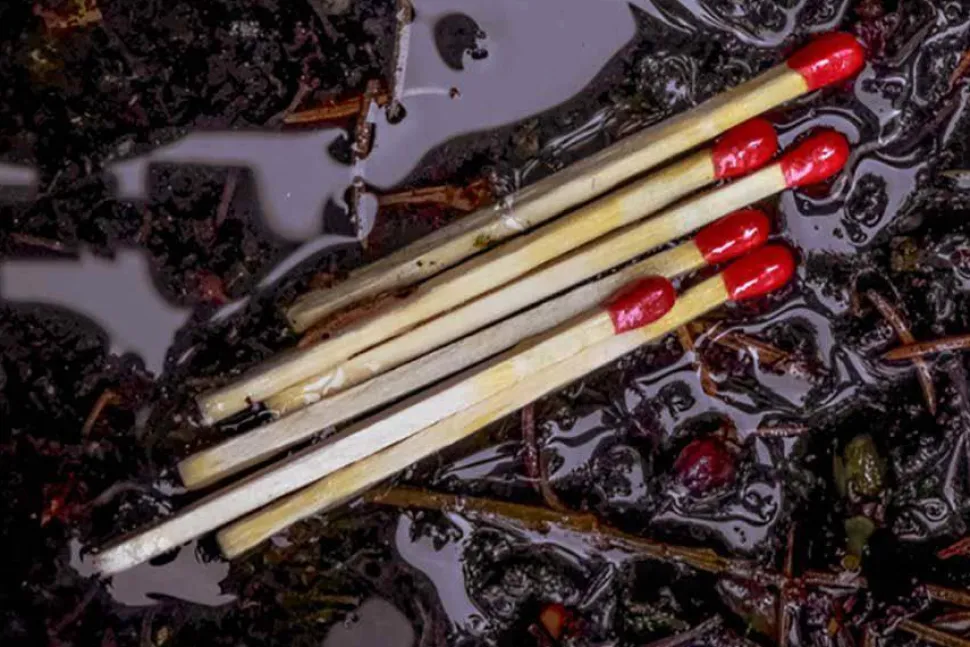 UCO Waterproof Matches 4-pack